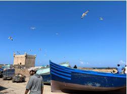 Balade en bord de mer